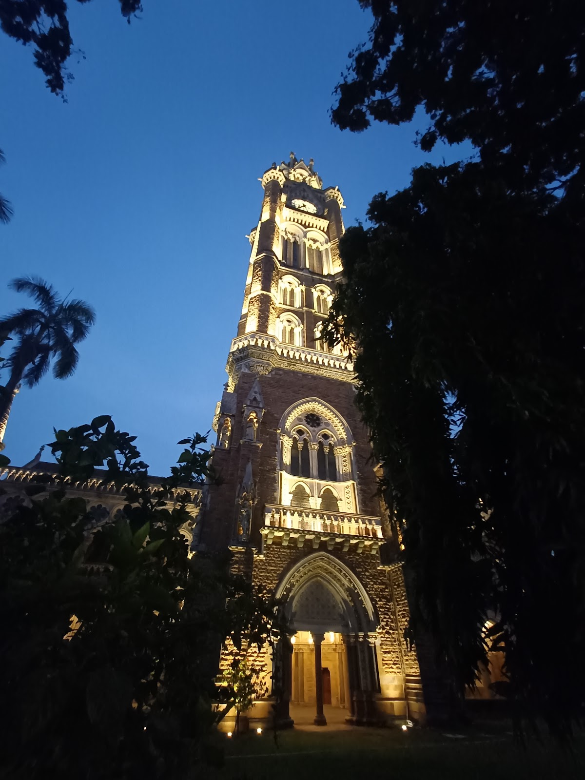 University of Mumbai photo 8