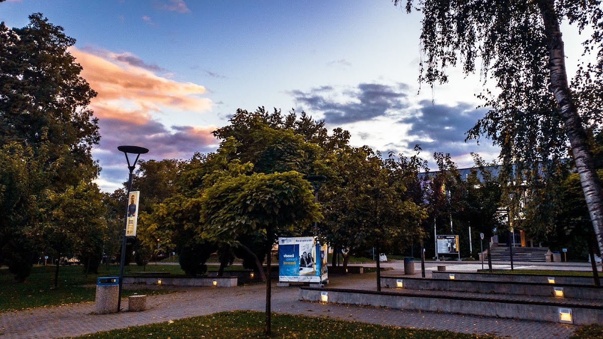 Ștefan cel Mare University of Suceava photo 4