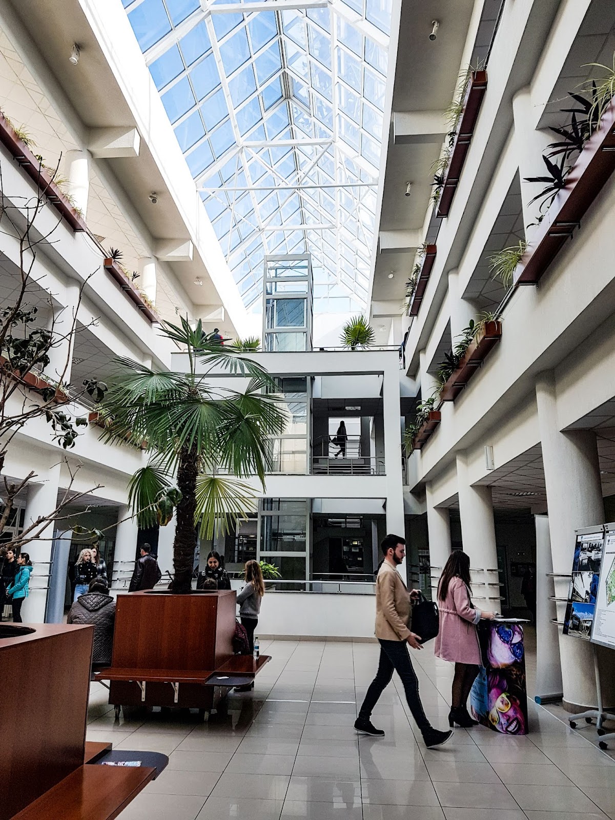 Ștefan cel Mare University of Suceava photo 8