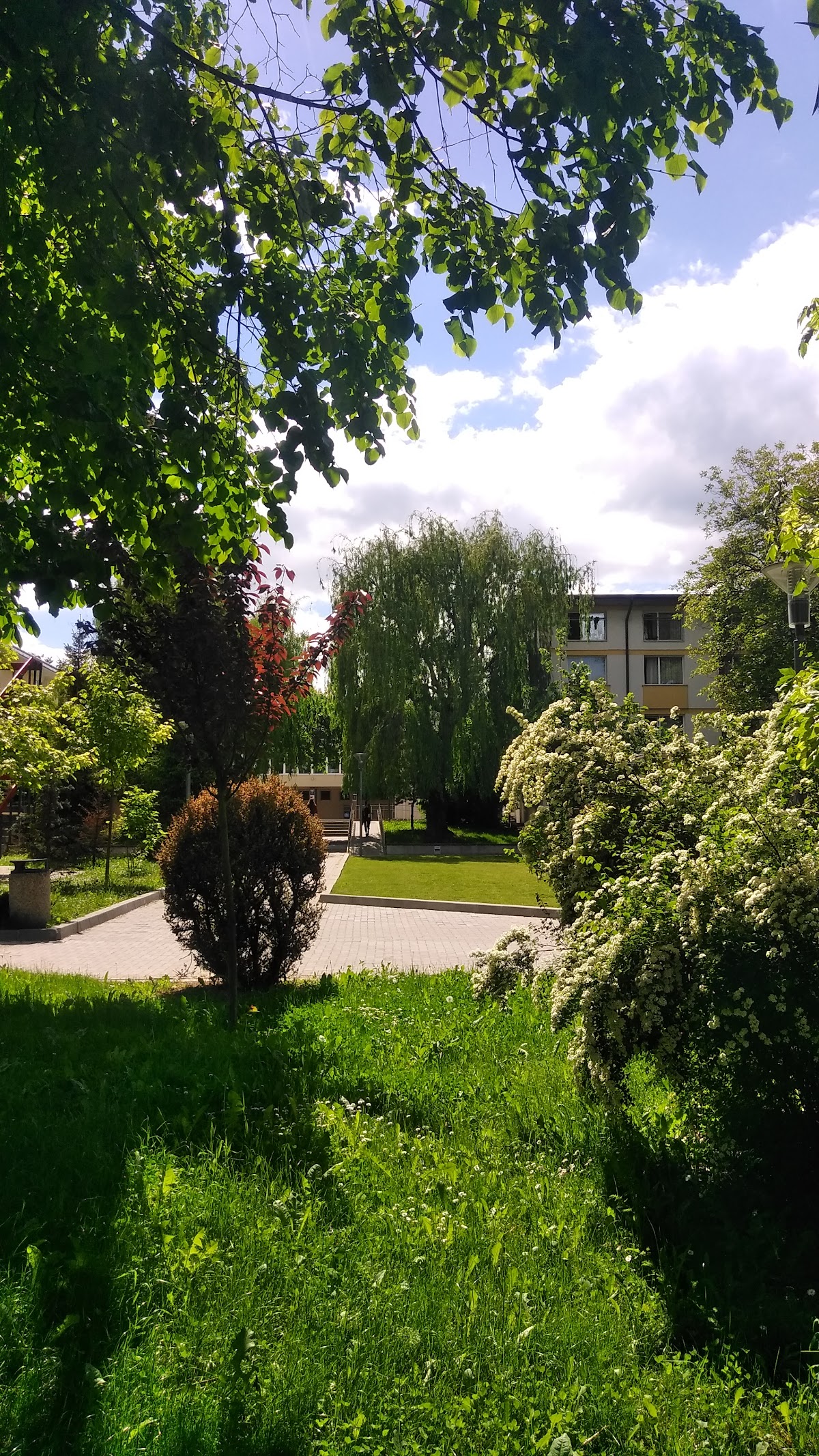 Ștefan cel Mare University of Suceava photo 9