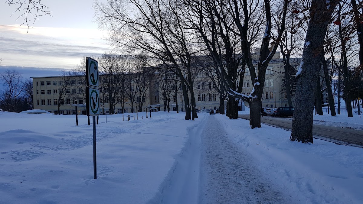 Université Mérici photo 1