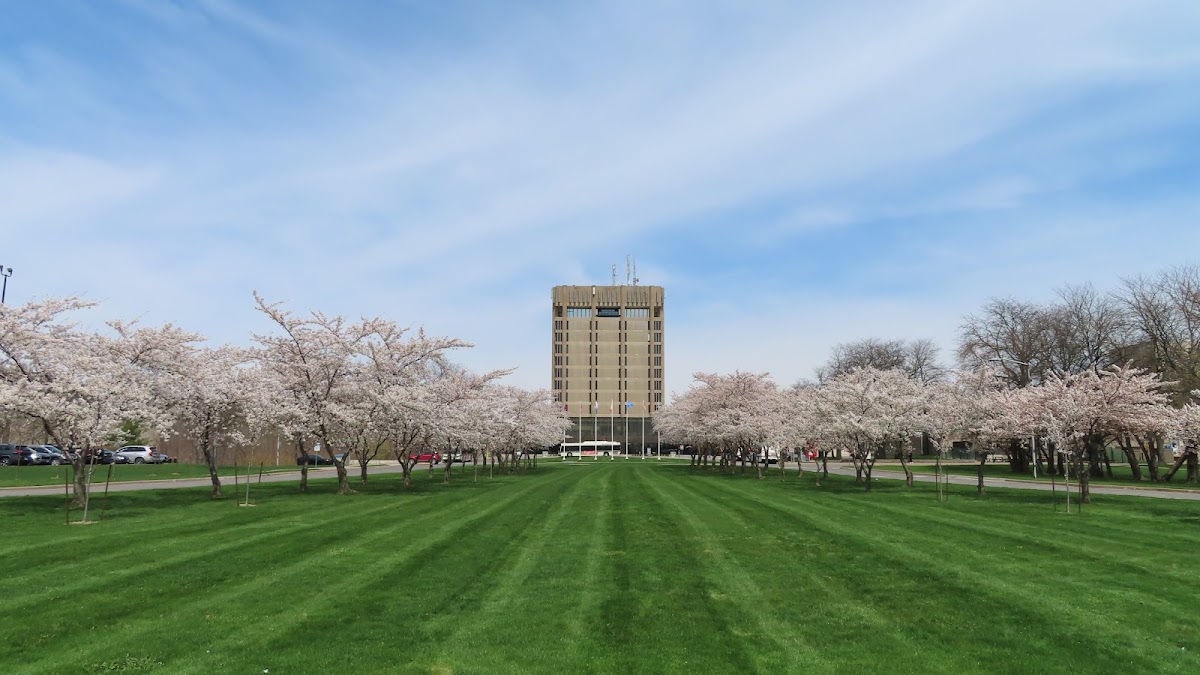 Brock University photo 1