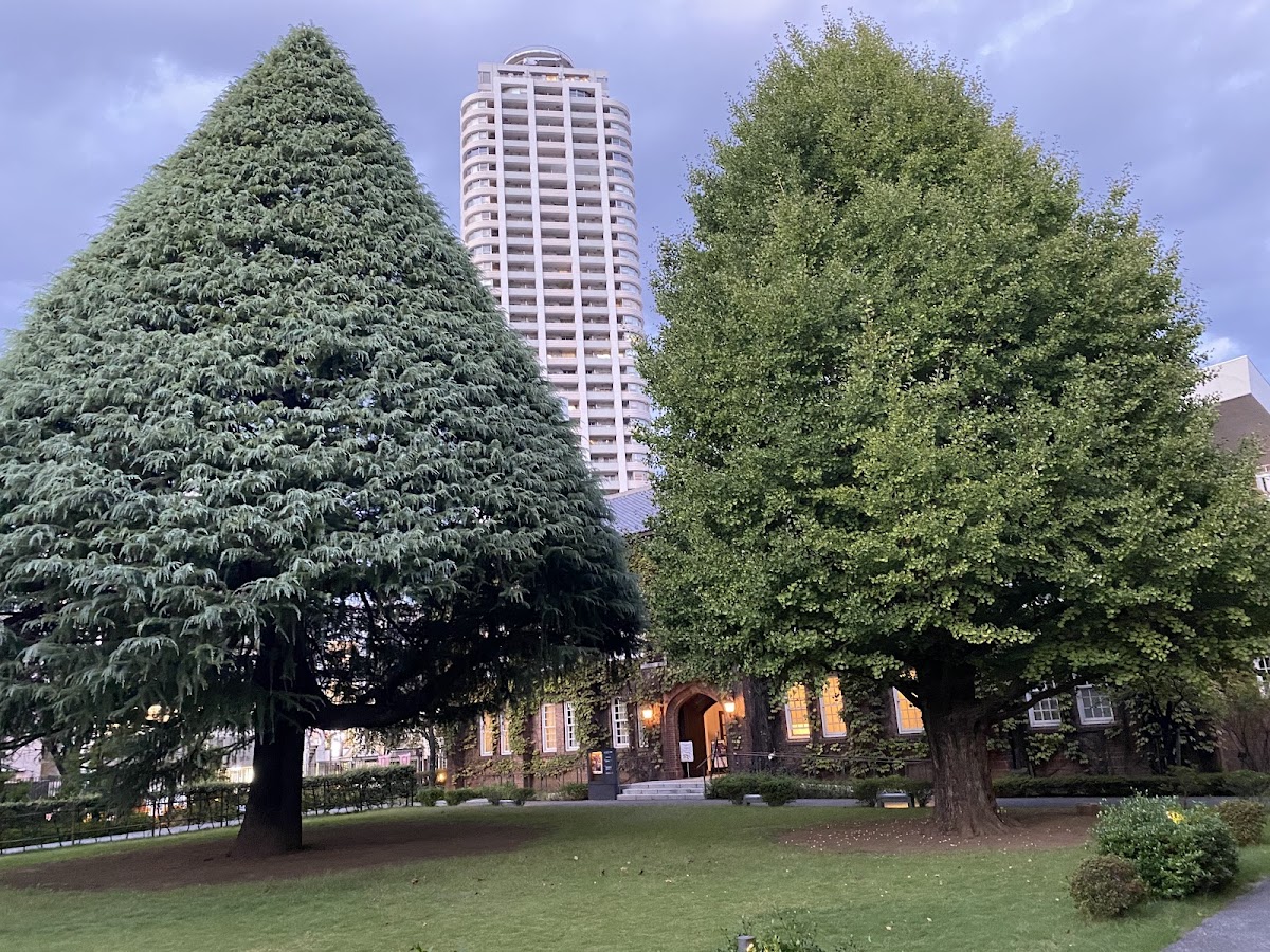 Rikkyo University photo 3