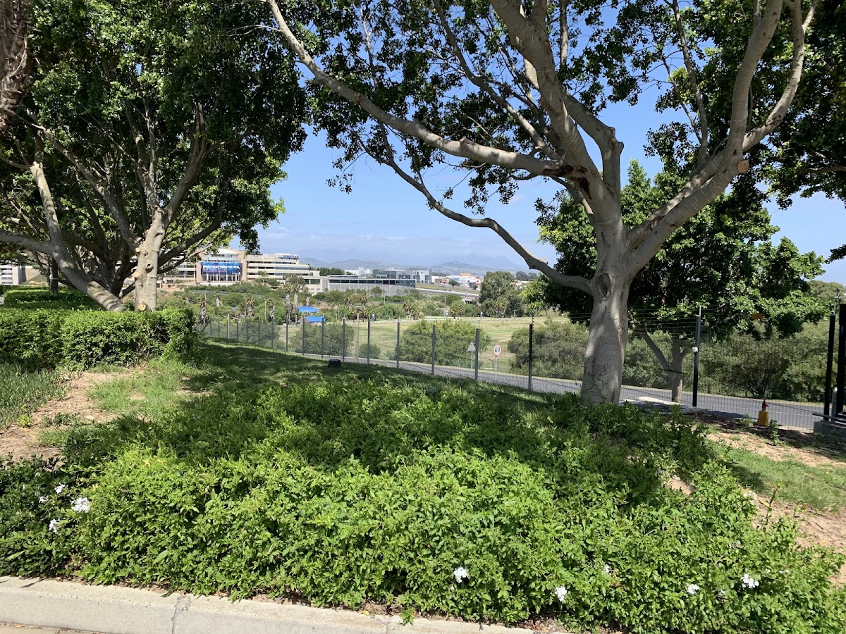 Stellenbosch Business School photo 6