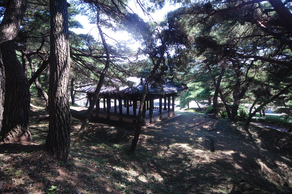 Gyeongju University photo 7
