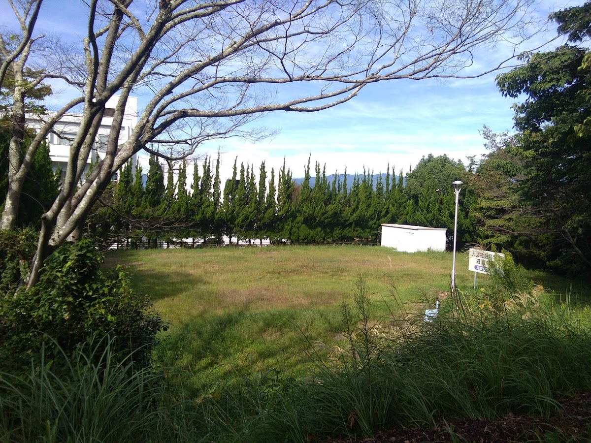 Shizuoka University photo 6