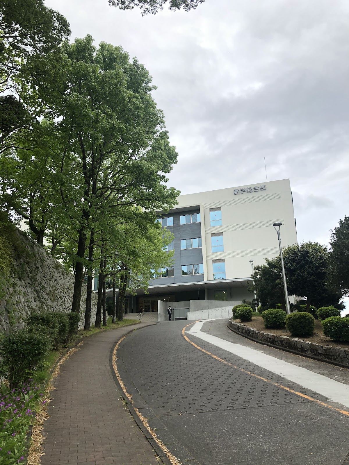 Shizuoka University photo 8