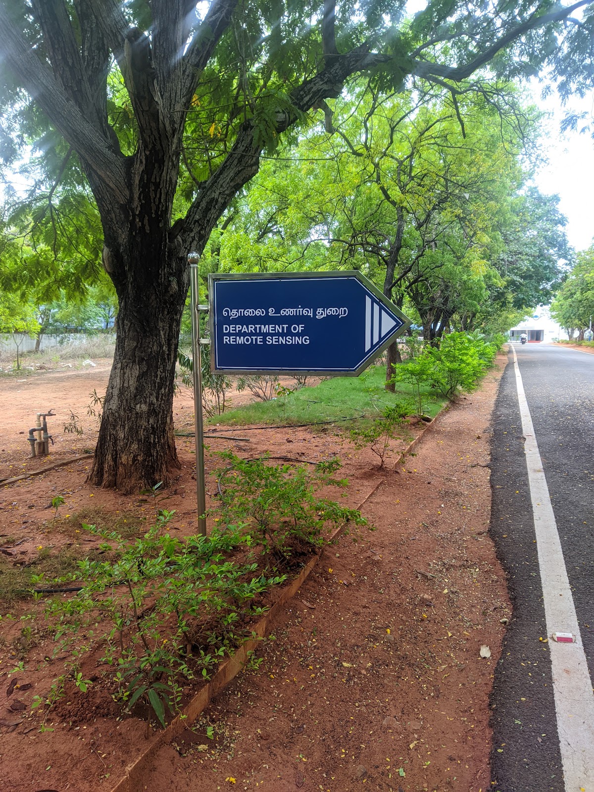 Bharathidasan University photo 6