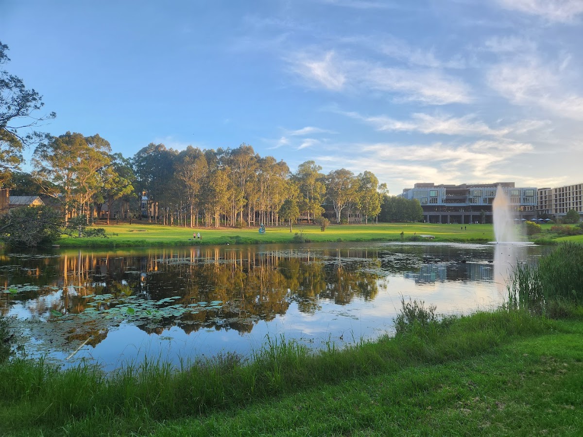 Macquarie University photo 2