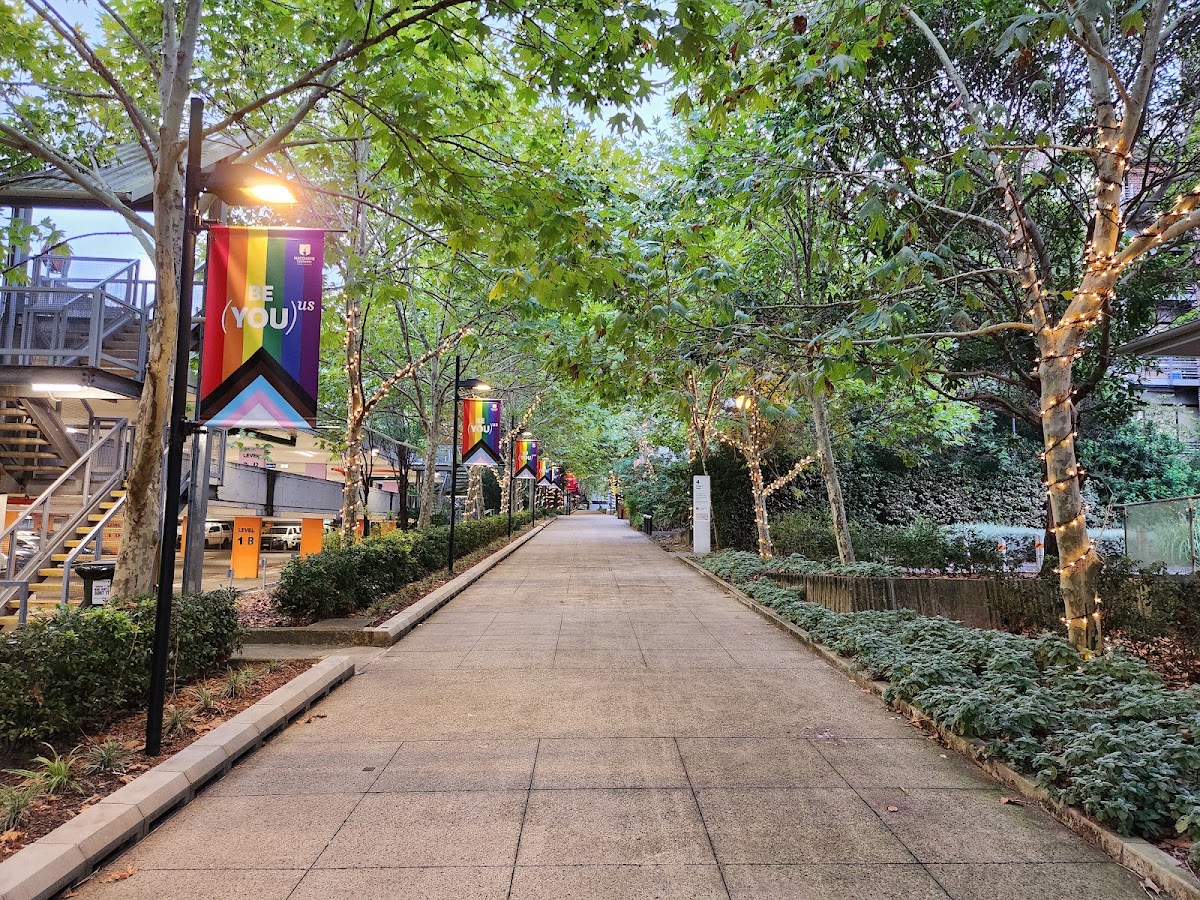 Macquarie University photo 3