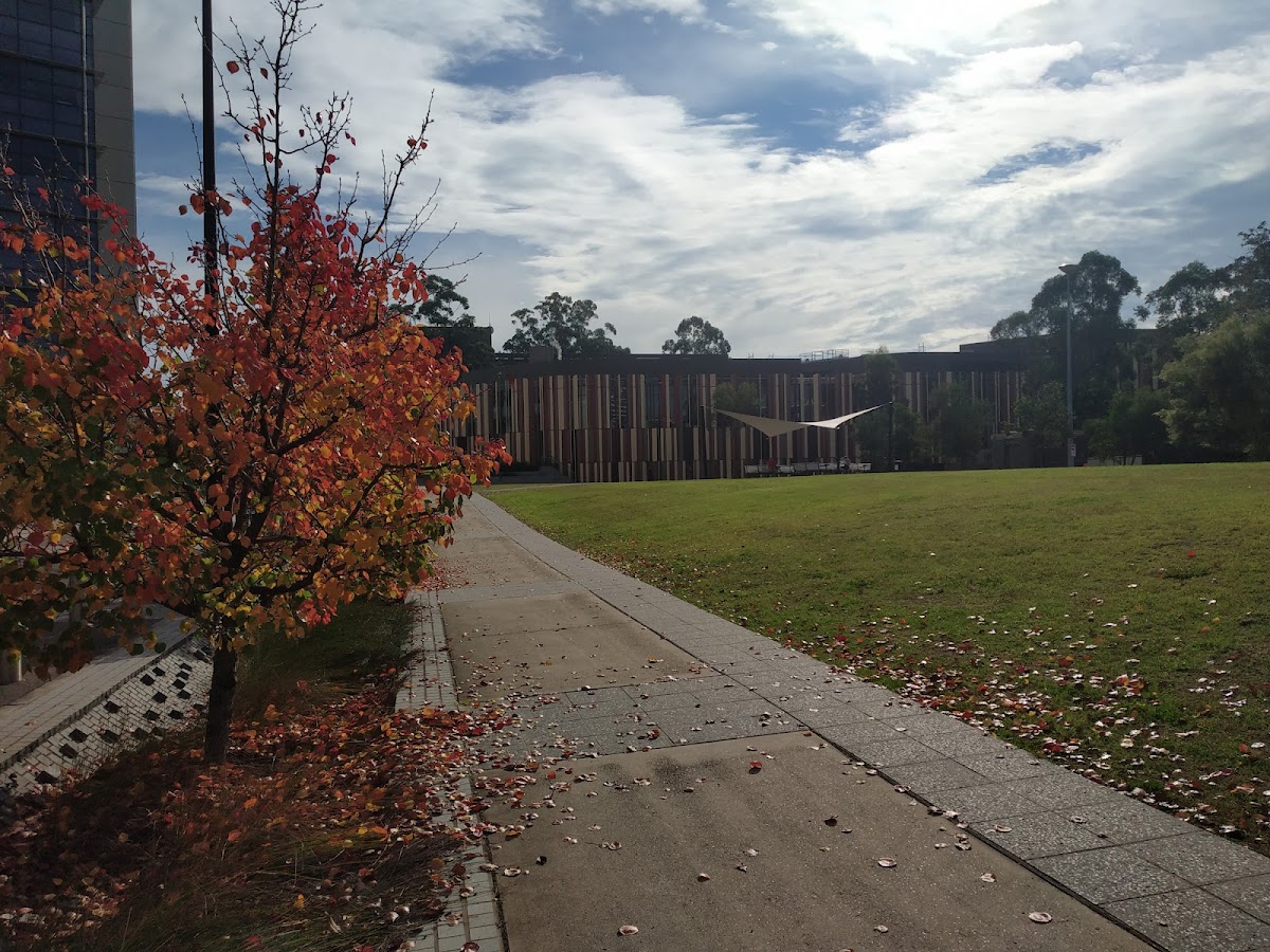 Macquarie University photo 6