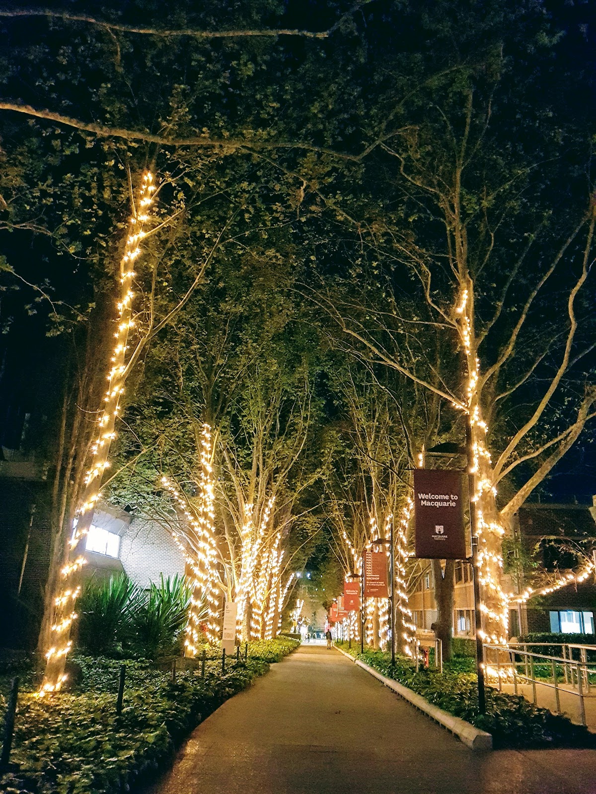 Macquarie University photo 9