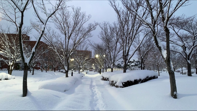 Gwangju Institute of Science and Technology (GIST)
