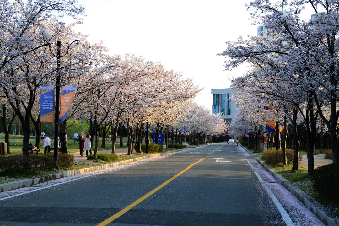 Gwangju Institute of Science and Technology (GIST) photo 1