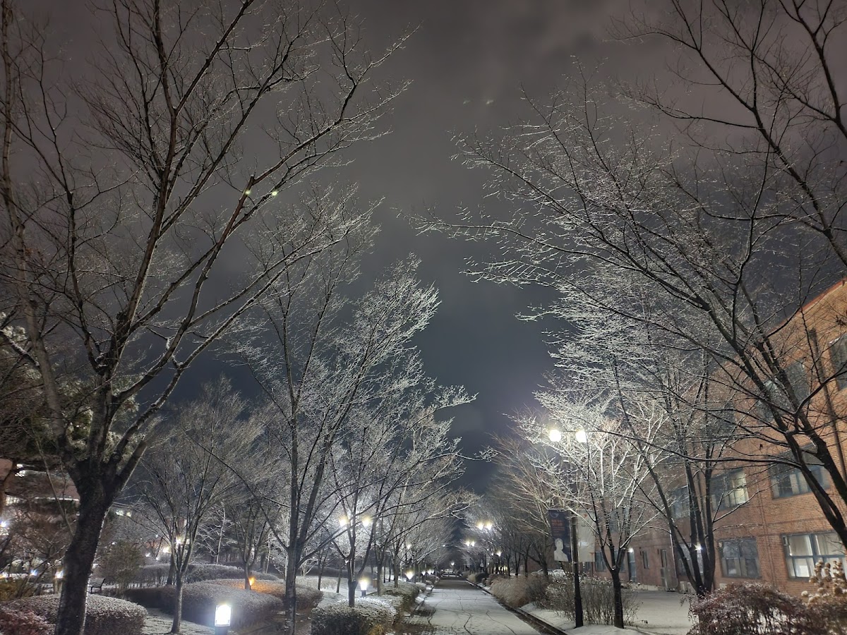 Gwangju Institute of Science and Technology (GIST) photo 3