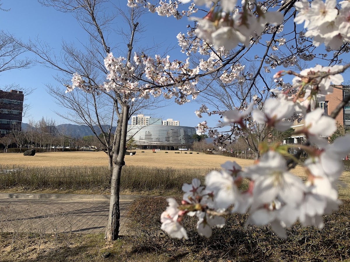Gwangju Institute of Science and Technology (GIST) photo 5