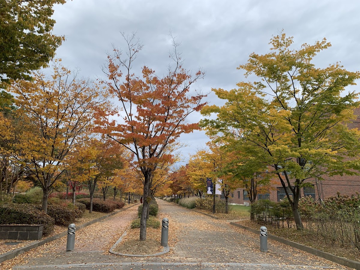 Gwangju Institute of Science and Technology (GIST) photo 7