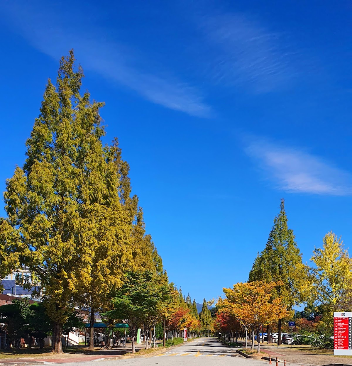 Gwangju Institute of Science and Technology (GIST) photo 8