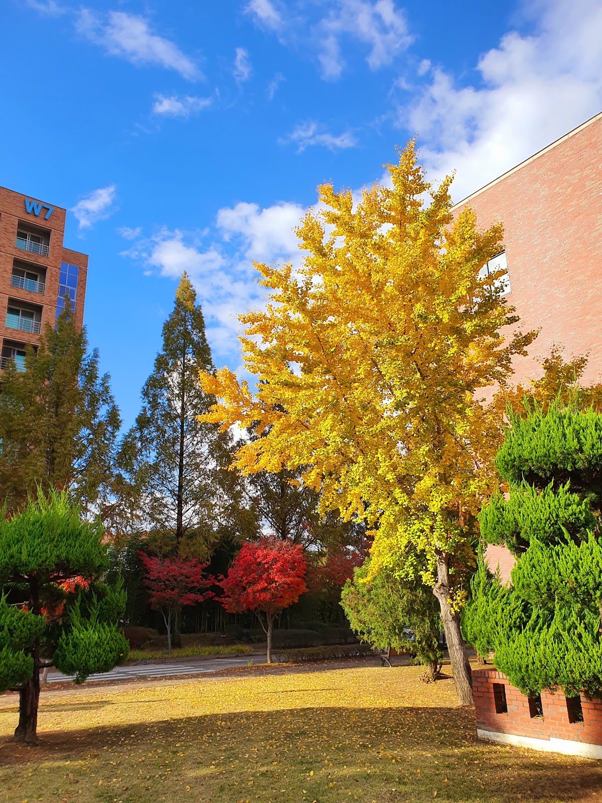 Gwangju Institute of Science and Technology (GIST) photo 9