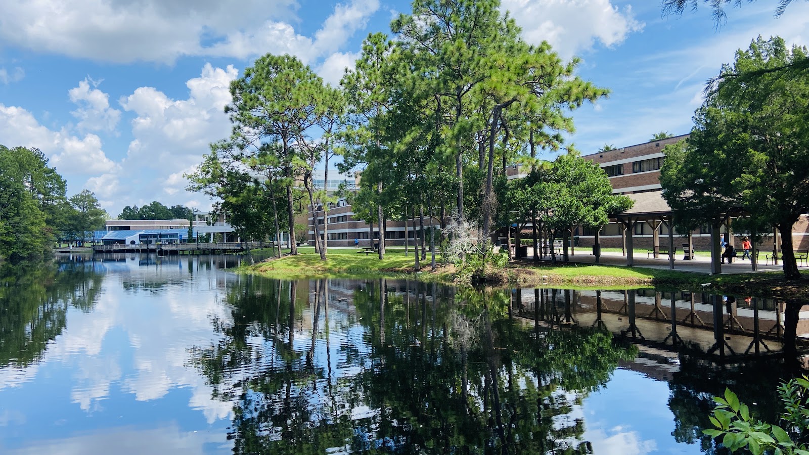 University of North Florida
