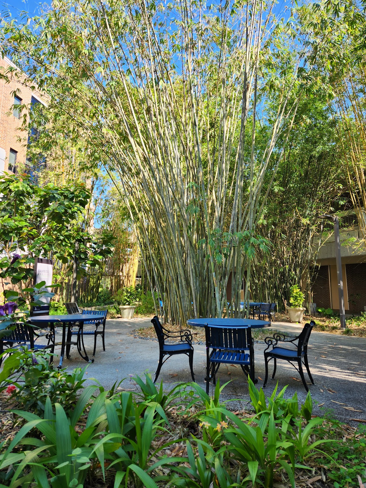 University of North Florida photo 7