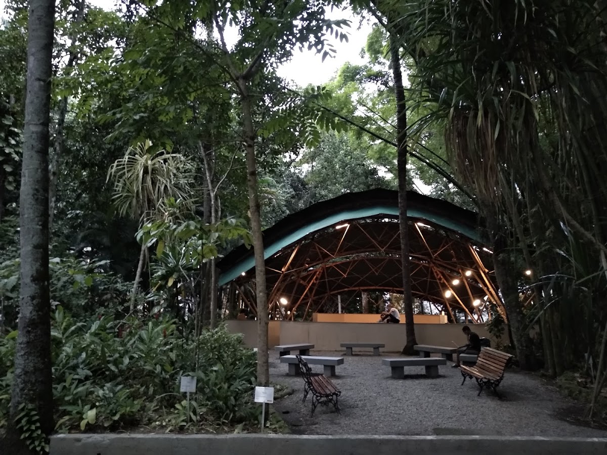 Pontifical Catholic University of Rio de Janeiro photo 7