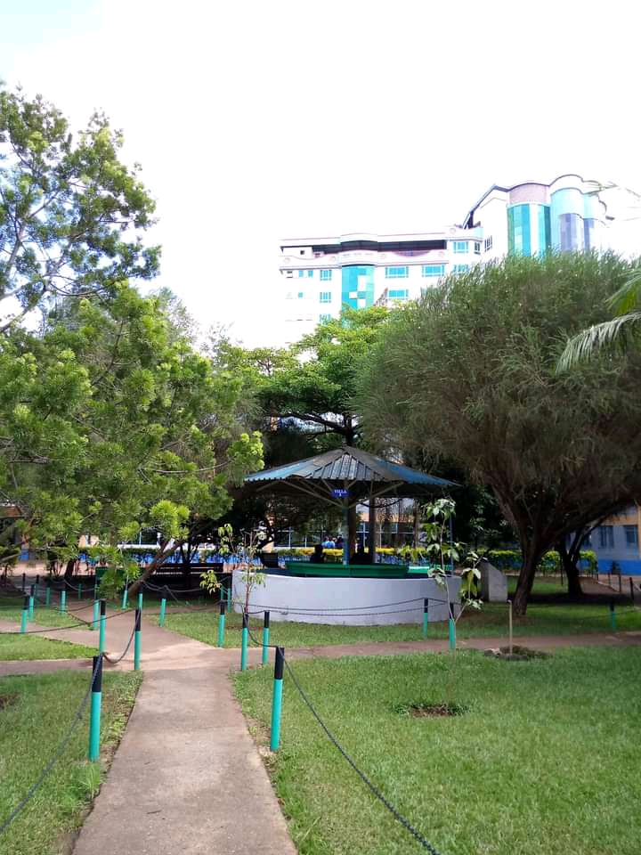 Mount Kenya University photo 9