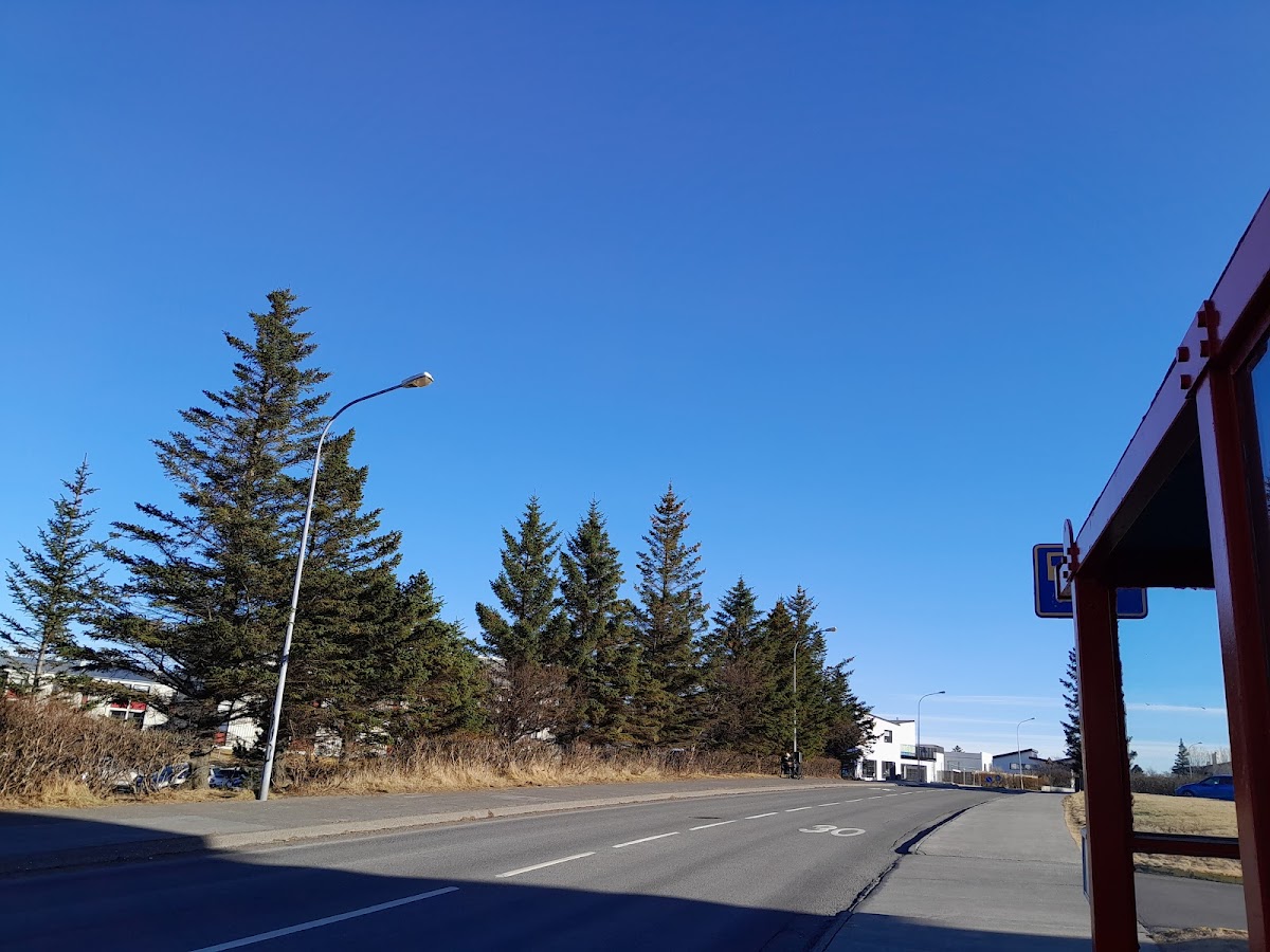 Iceland University of the Arts photo 5