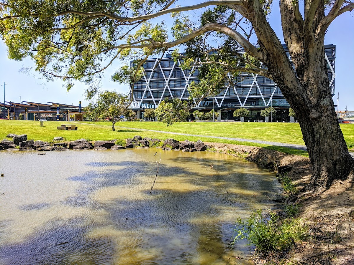 Manukau Institute of Technology (MIT) photo 3