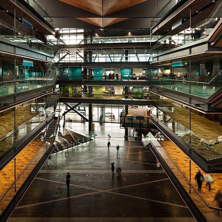 Manukau Institute of Technology (MIT) photo 4