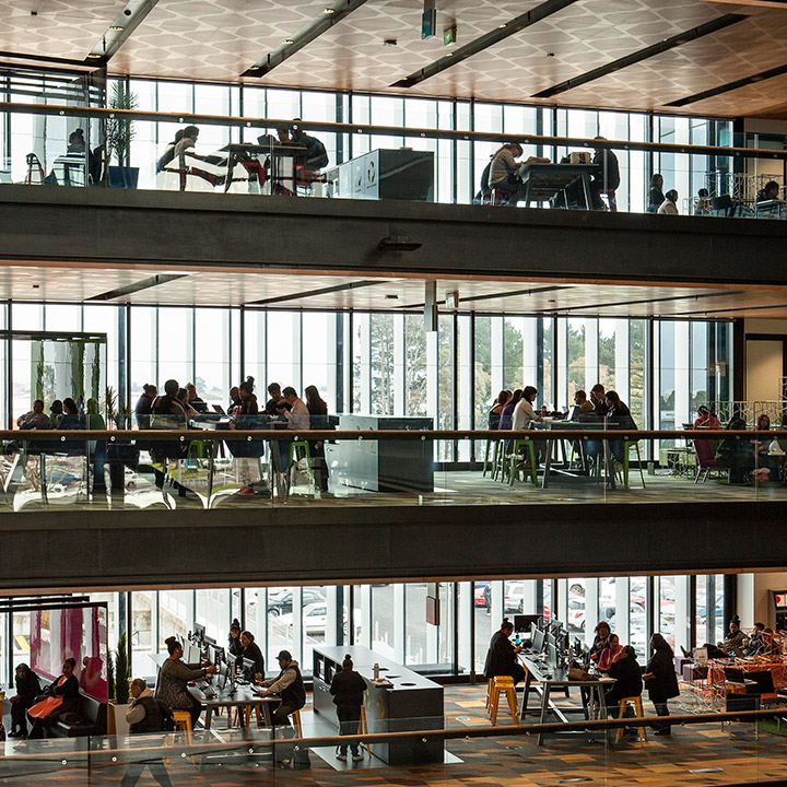 Manukau Institute of Technology (MIT) photo 6