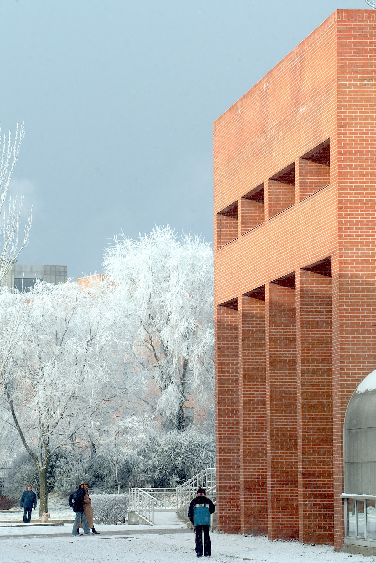 University of Valladolid photo 9