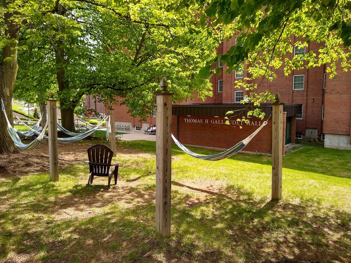Central Connecticut State photo 4
