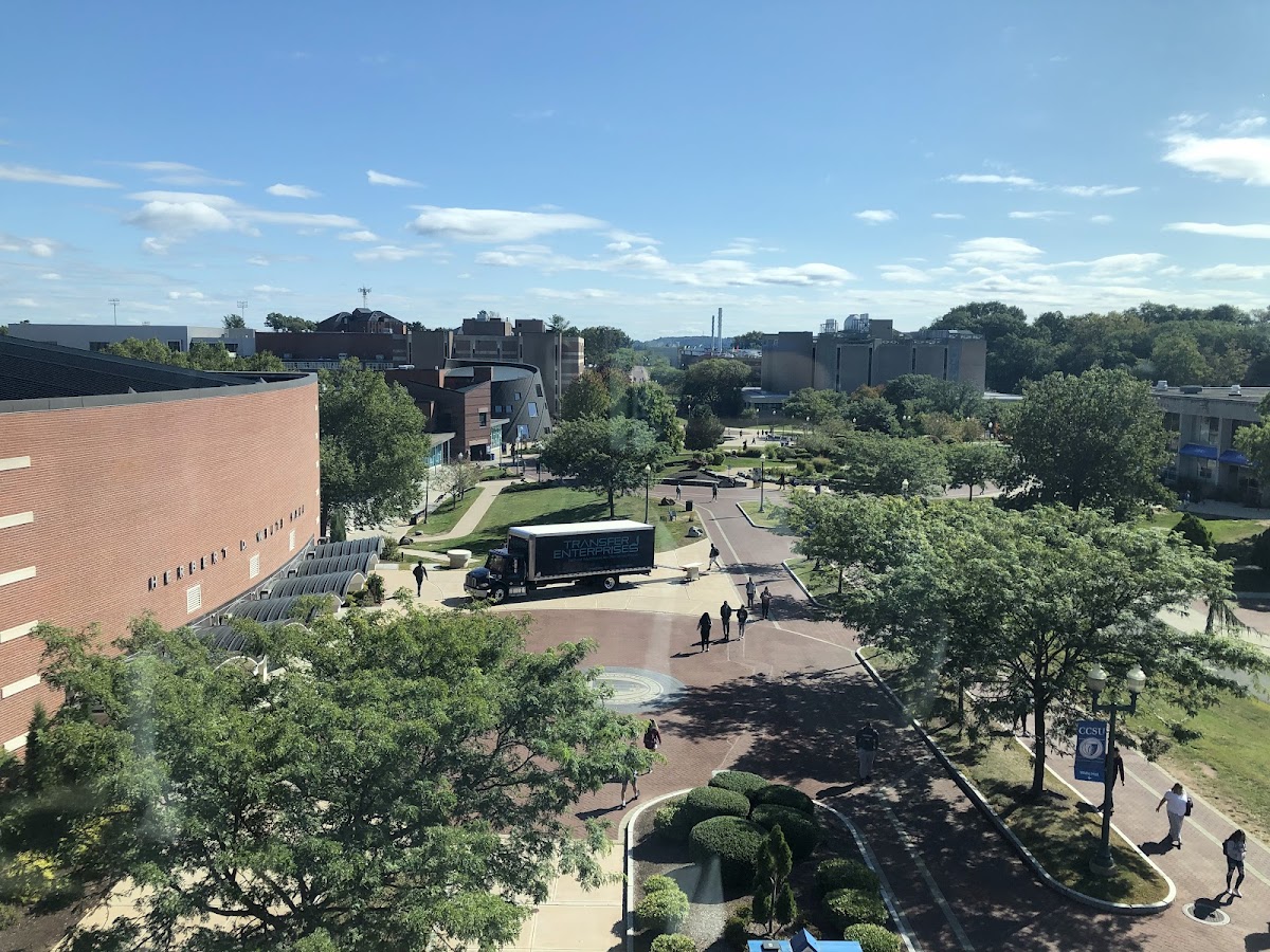 Central Connecticut State photo 5