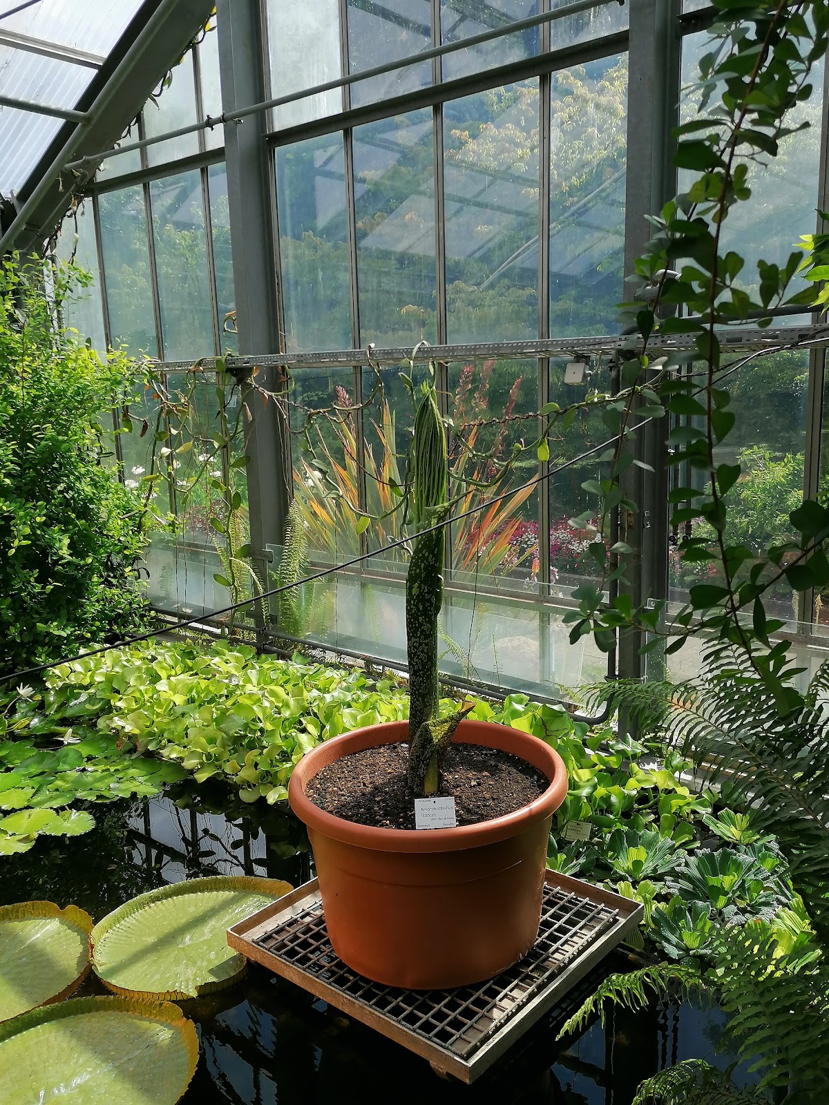 Universität Kiel photo 8