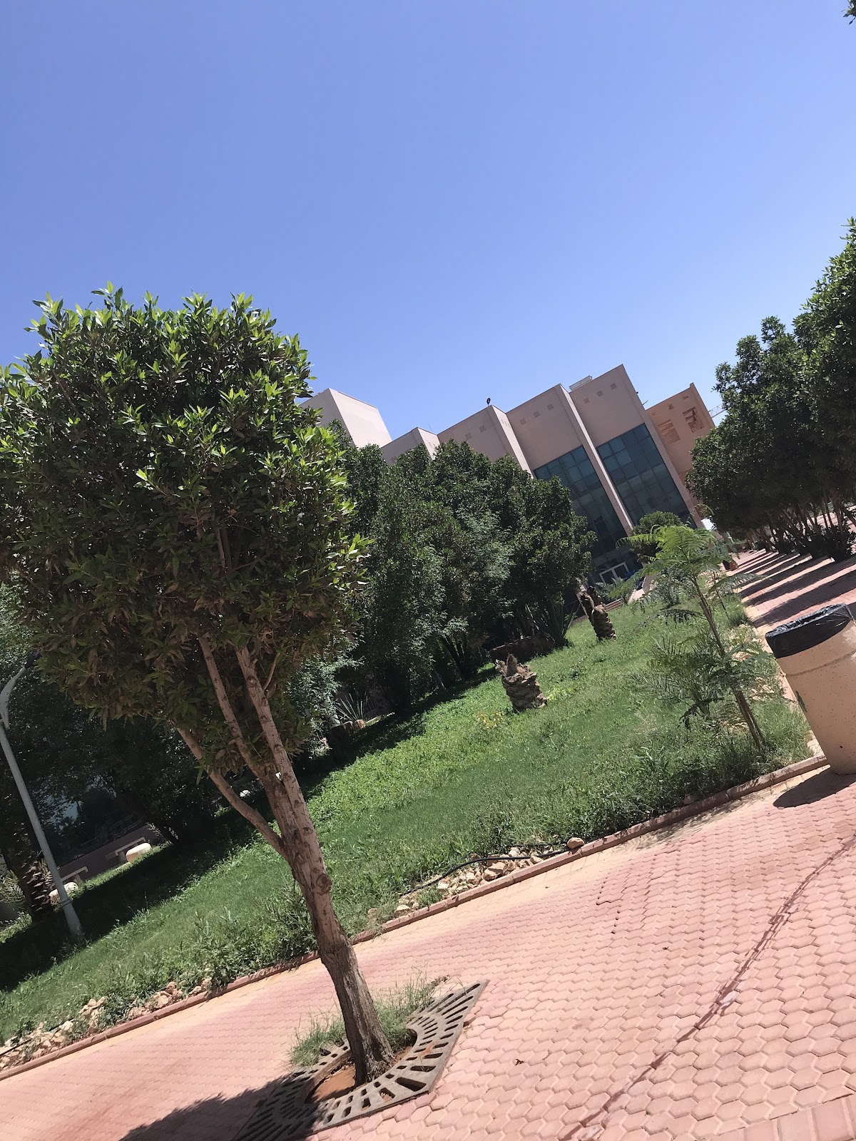 Shaqra University photo 4
