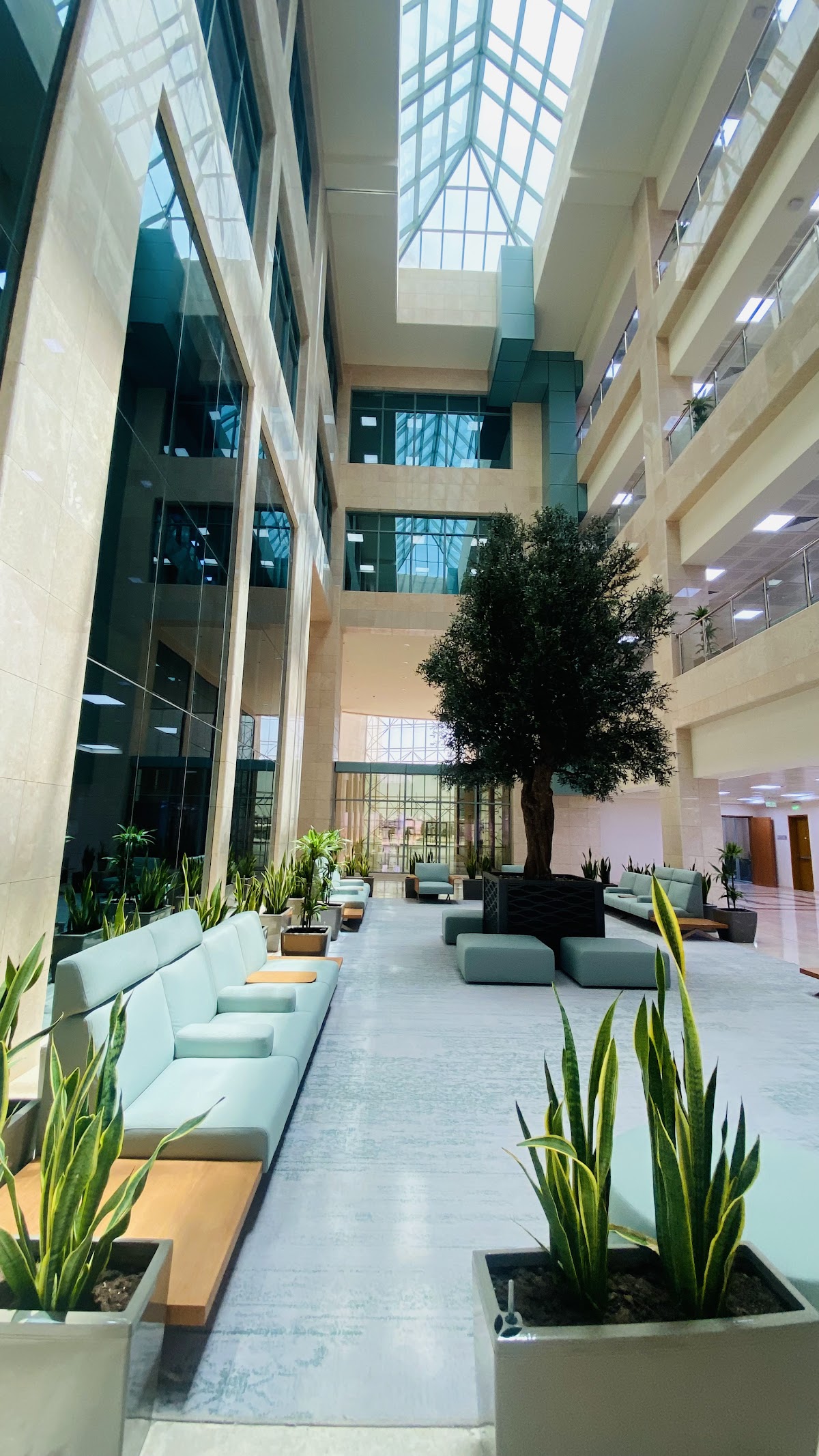 Shaqra University photo 7