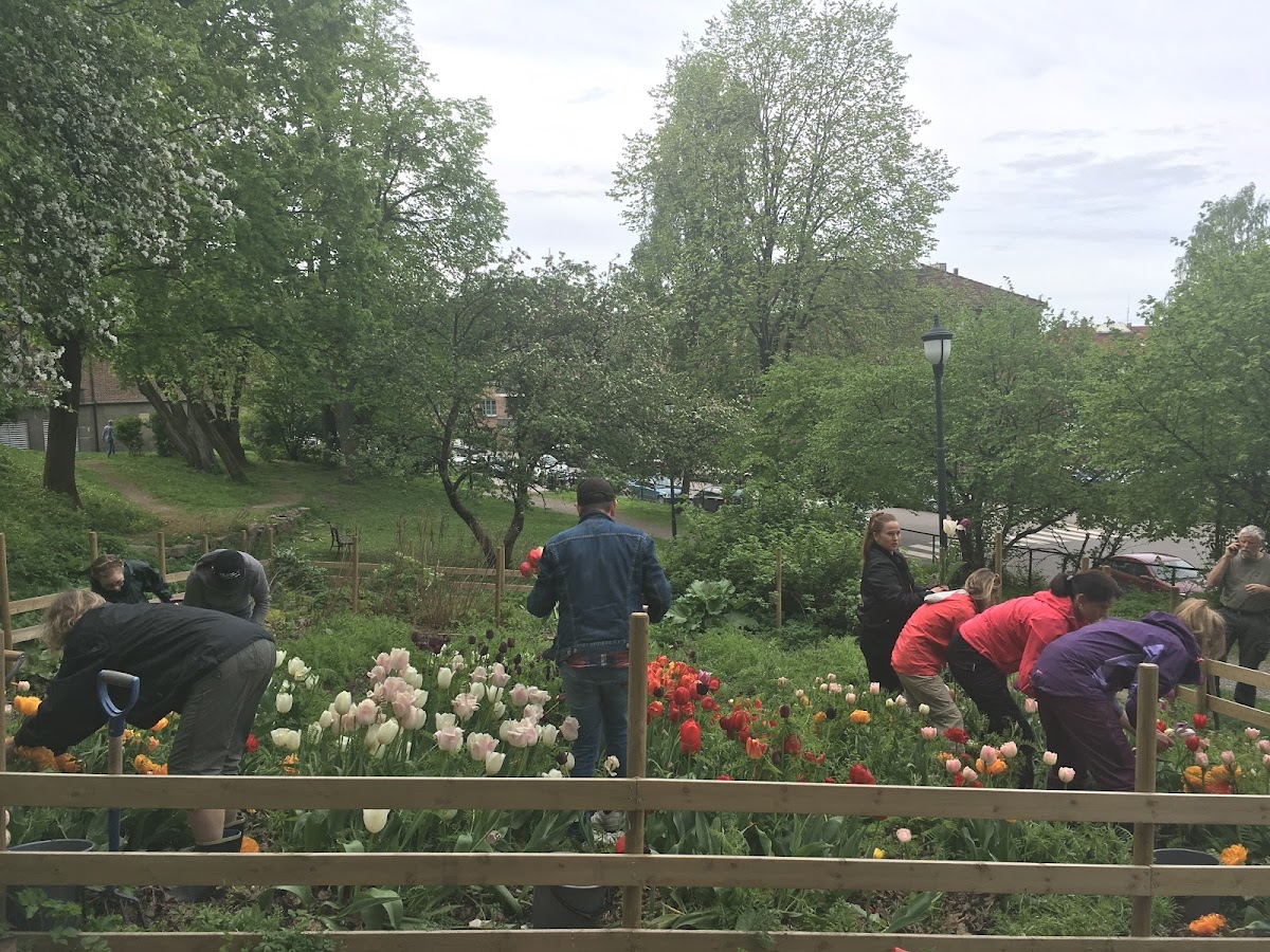 Rudolf Steiner University College photo 4