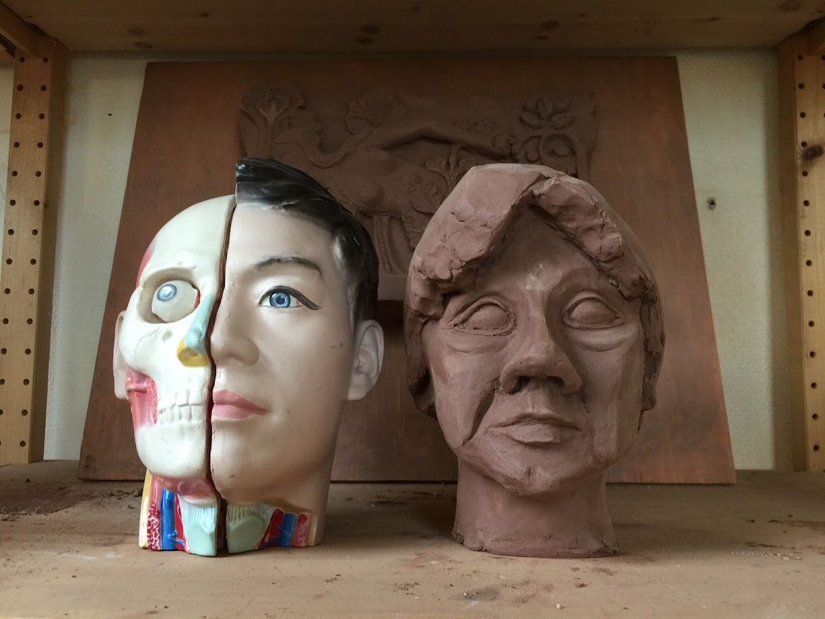 Rudolf Steiner University College photo 7