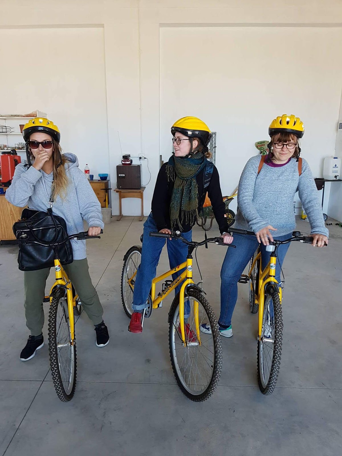 Rudolf Steiner University College photo 8