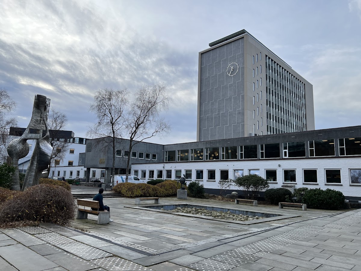 Norwegian School of Economics (NHH) photo 4