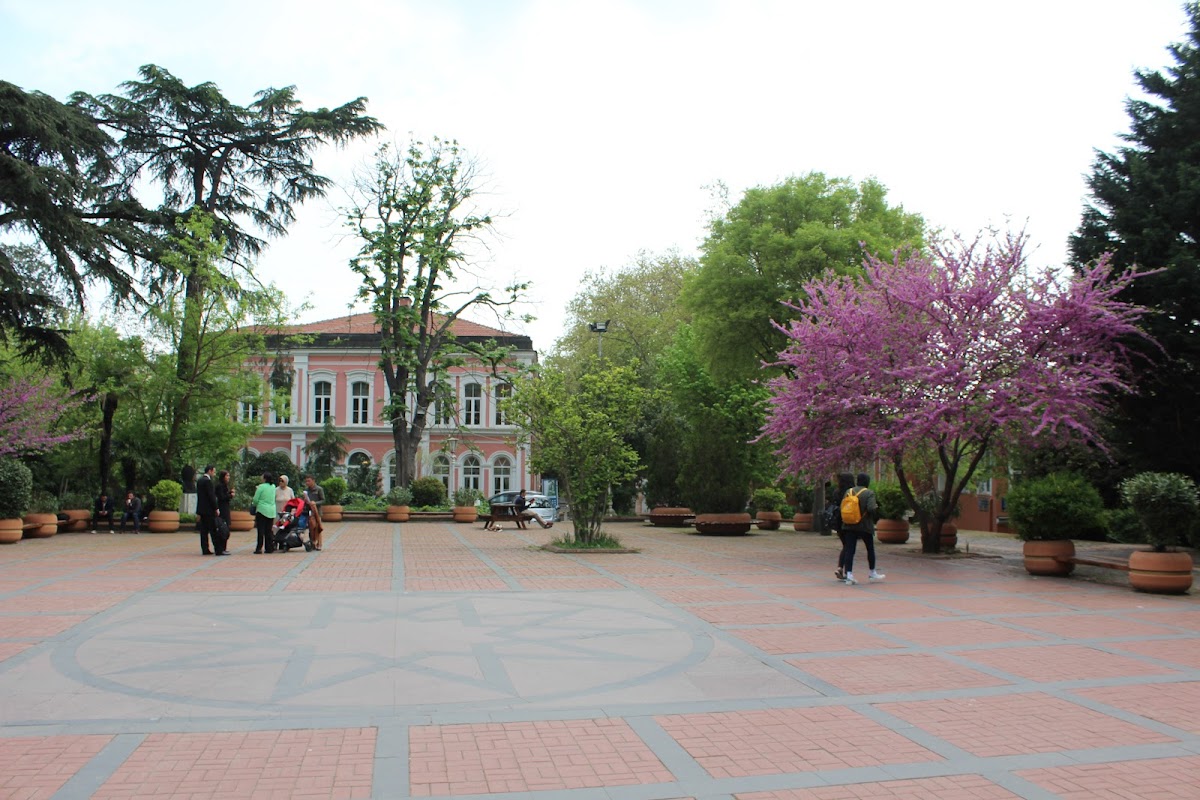 Yıldız Technical University photo 1