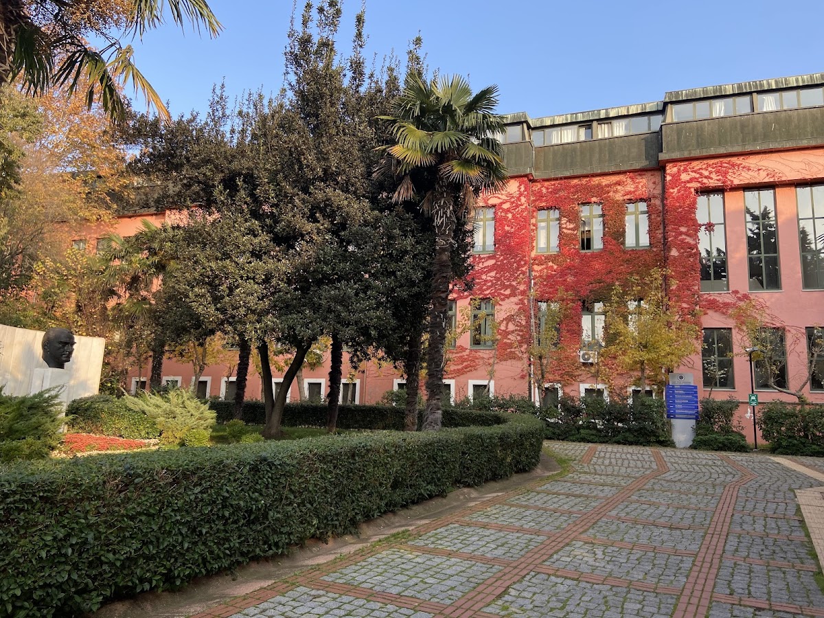Yıldız Technical University photo 2