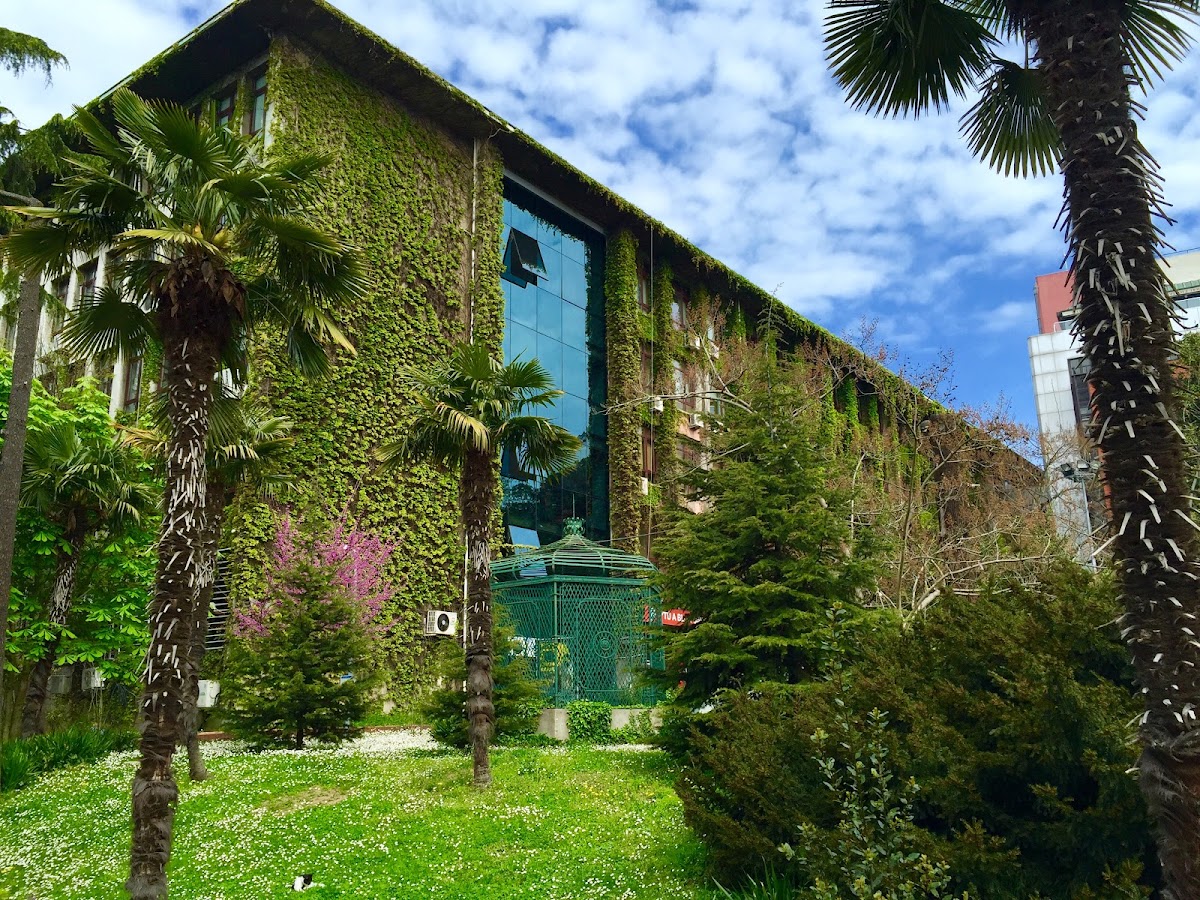 Yıldız Technical University photo 3