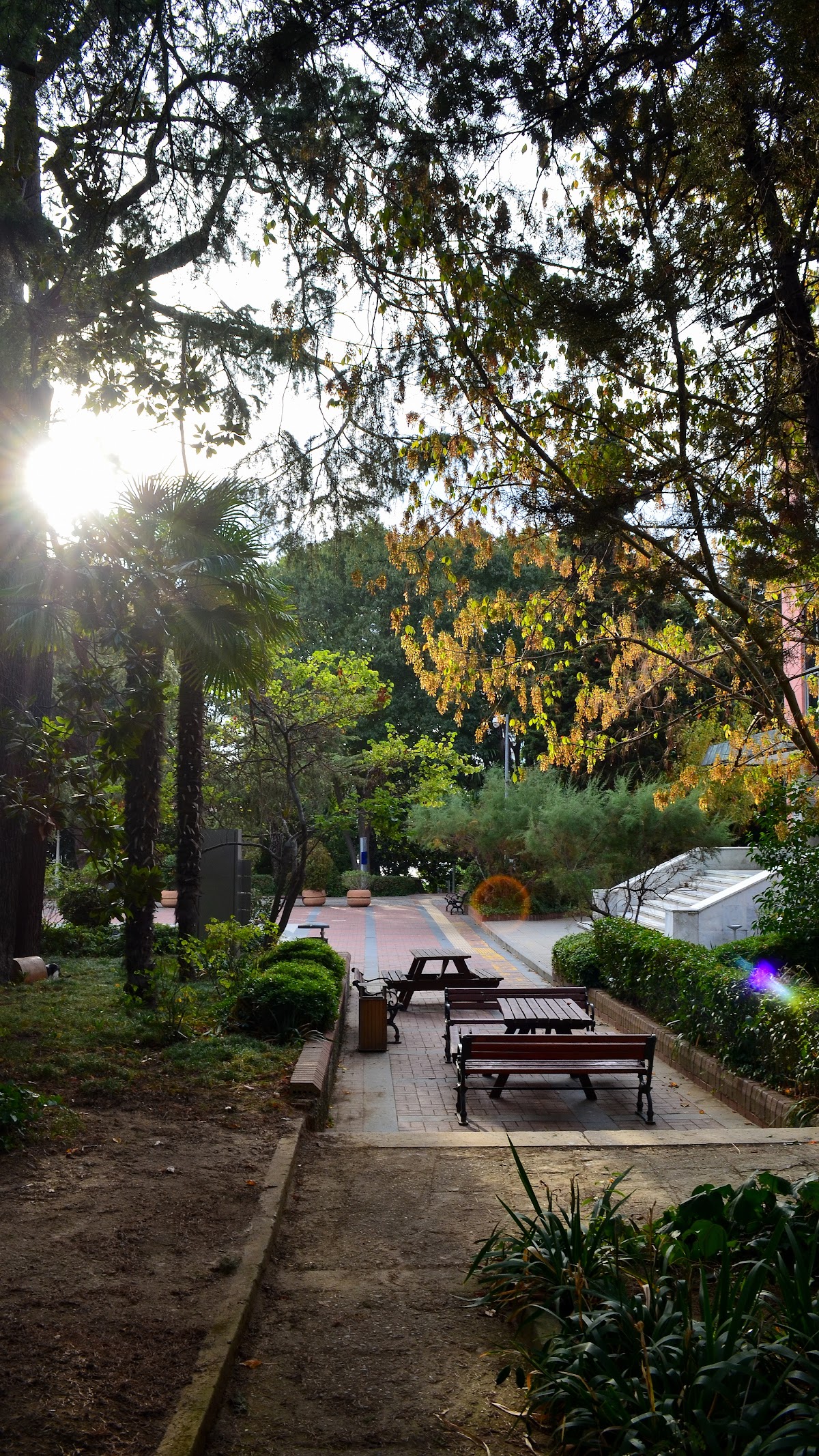 Yıldız Technical University photo 9