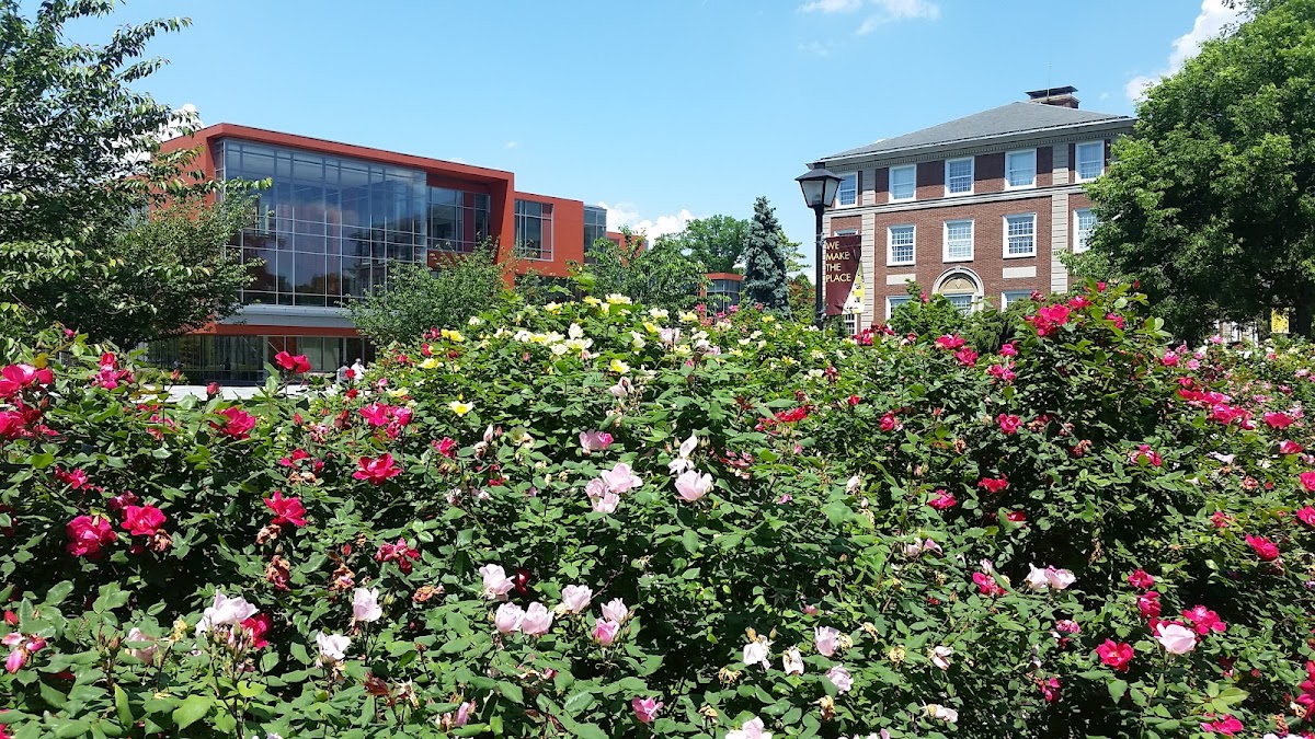 Adelphi University photo 1