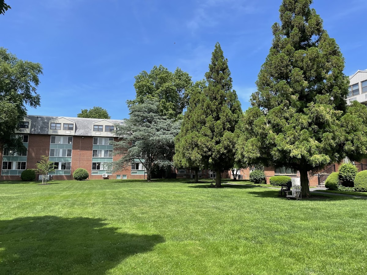 Adelphi University photo 5