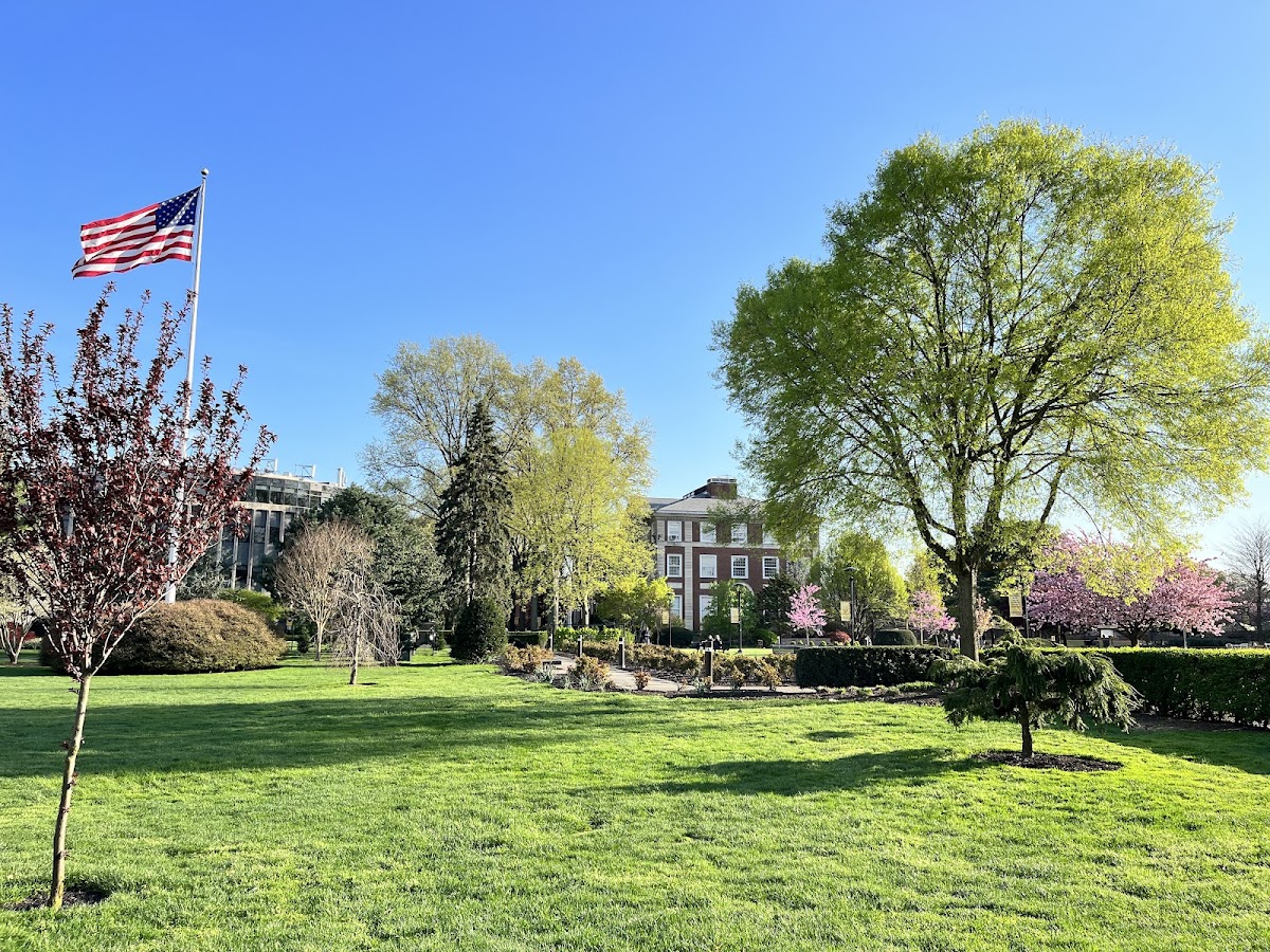 Adelphi University photo 6