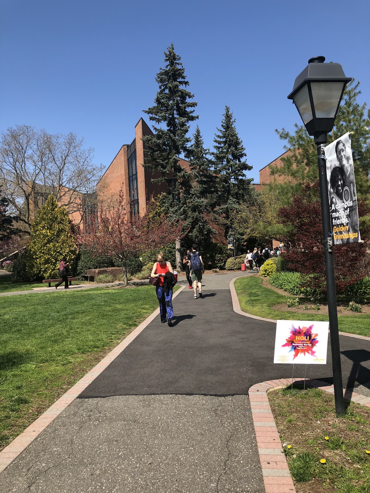 Adelphi University photo 9