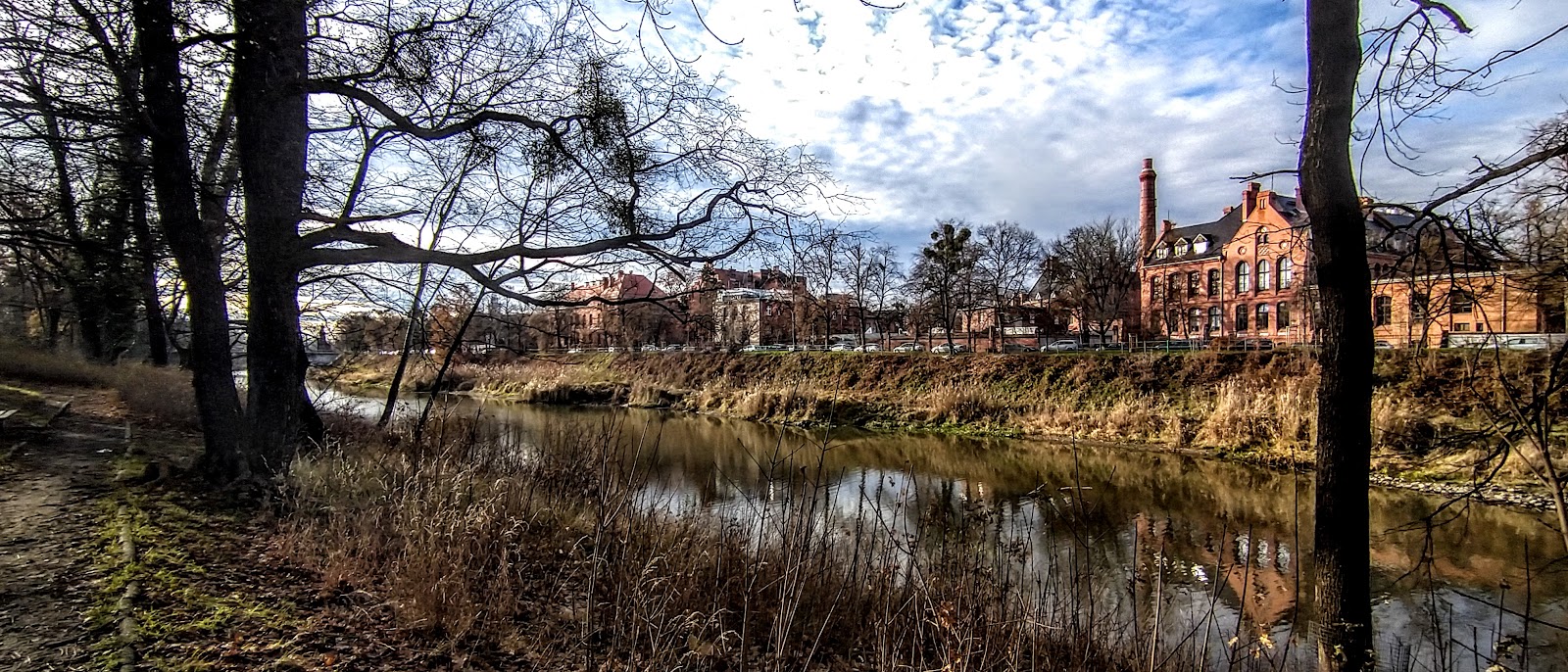 Medical University of Wrocław